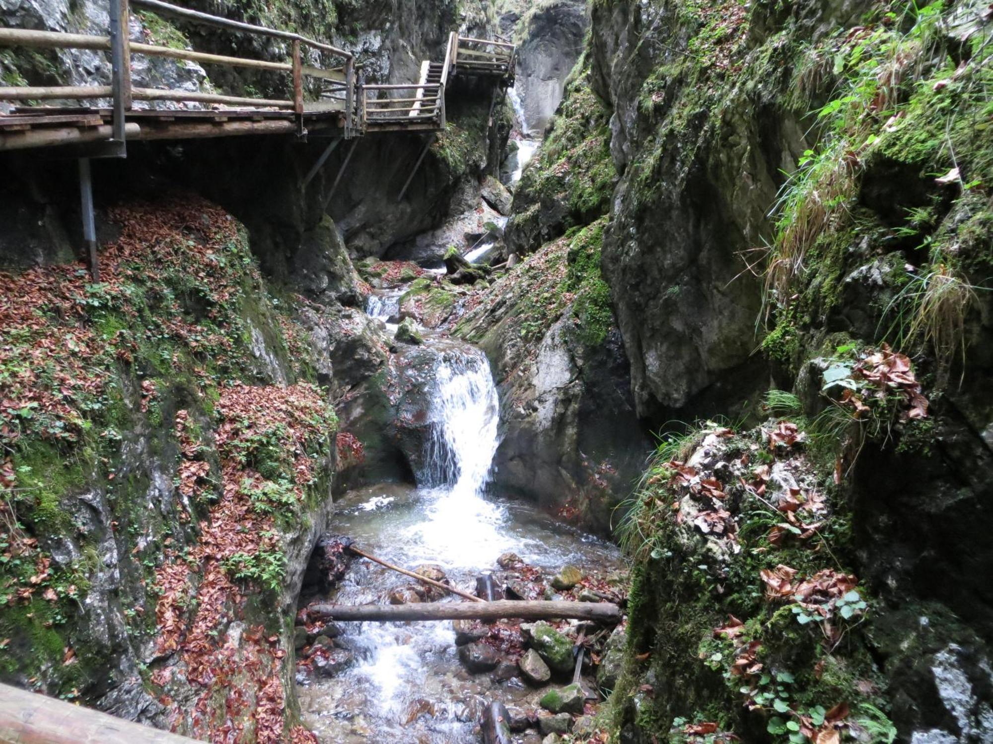 Rosenau am Hengstpass Ferienwohnung Pyhrgasblick מראה חיצוני תמונה